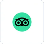 TripAdvisor